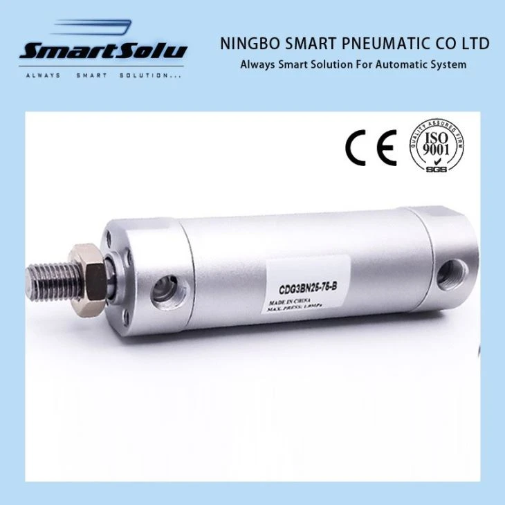 Cilindro pneumatico di tipo SMC CG1