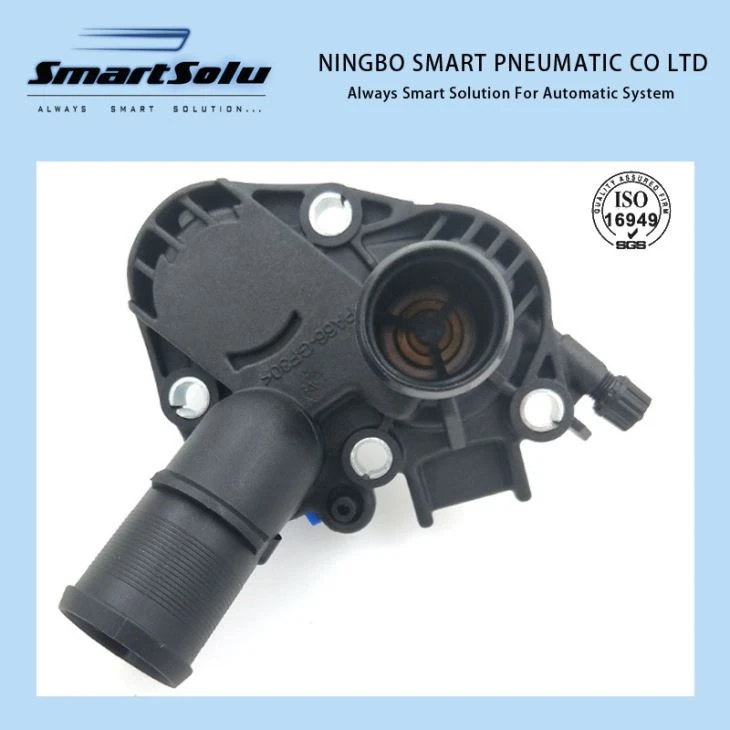 9675849380 Termostato per auto
